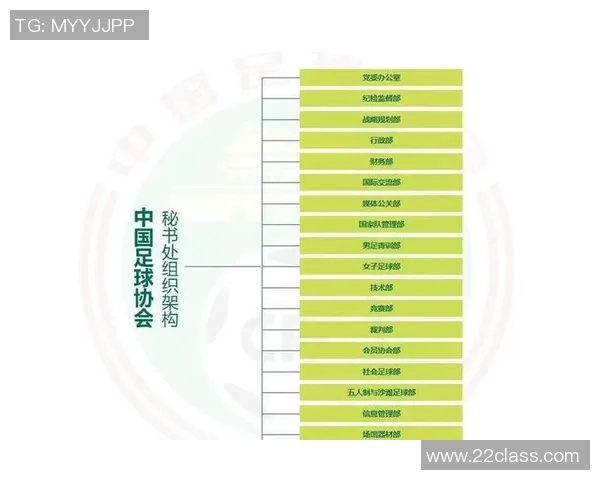 中国足协改革新举措推动足球发展 促进国内联赛提升与青训体系建设