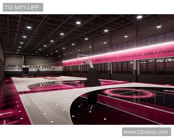 以球场为中心的多功能运动休闲空间规划设计与发展趋势探讨