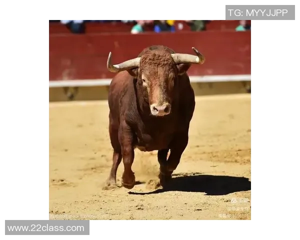 公牛精神与力量象征:探索公牛在文化、体育和历史中的深远影响 公牛精神与力量象征:探索公牛在文化、体育和历史中的深远影响