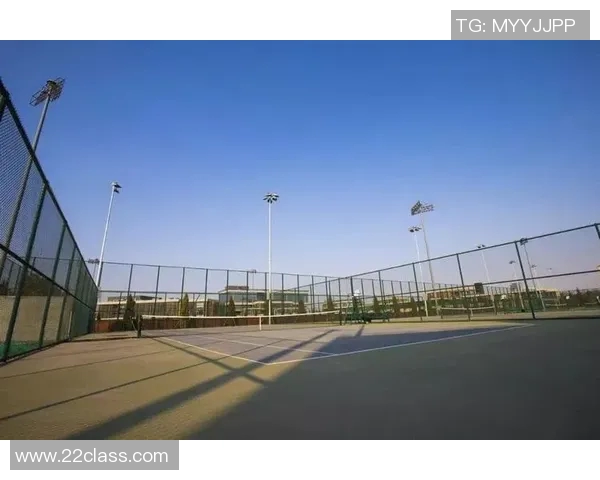 西安网球队勇闯世锦赛展现逆袭精神与团队力量的辉煌之路