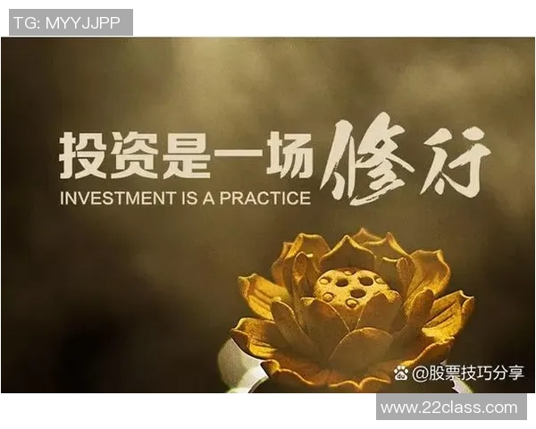 专访赵敏：探讨DOTA2成功背后的策略与团队协作秘诀