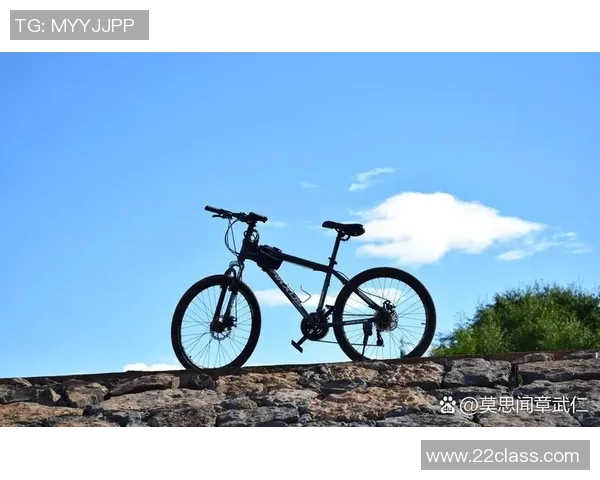 骑行探险新体验：探索城市与自然之间的无缝连接